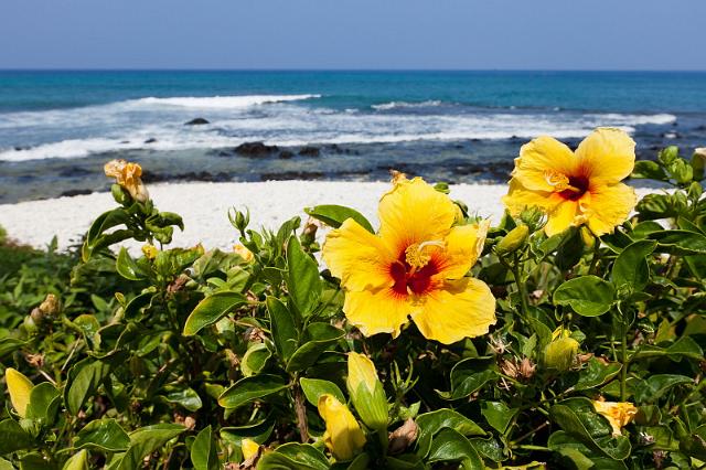 065 Big Island, Kona, Hilton Waikoloa Village.jpg